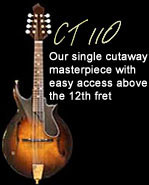 CT110: Our single cutaway masterpiece with easy access above the 12th fret